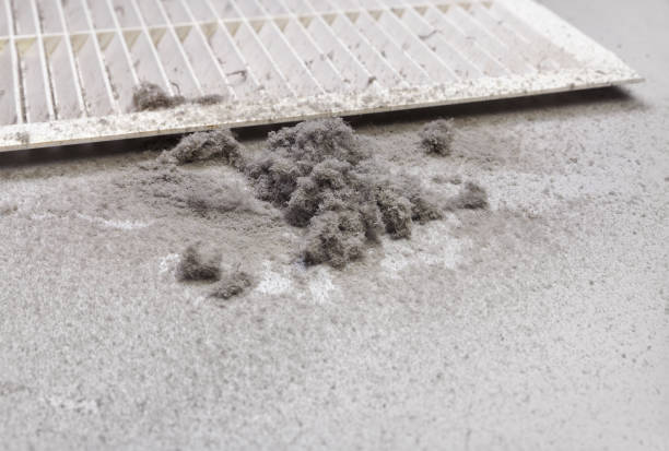 Best Air Duct Cleaning Near Me  in Hollywood Park, TX
