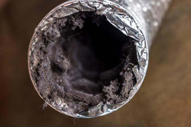 Best Duct Cleaning Specialists  in Hollywood Park, TX